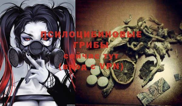 амф Абдулино