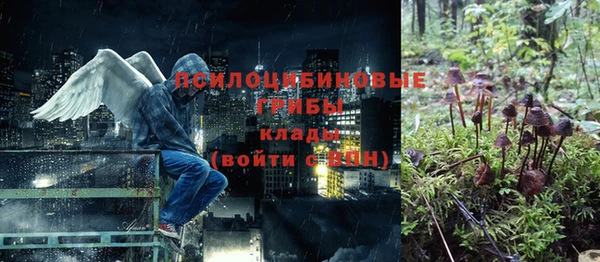 мяу мяу мука Абаза