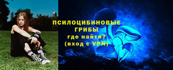 мяу мяу мука Абаза