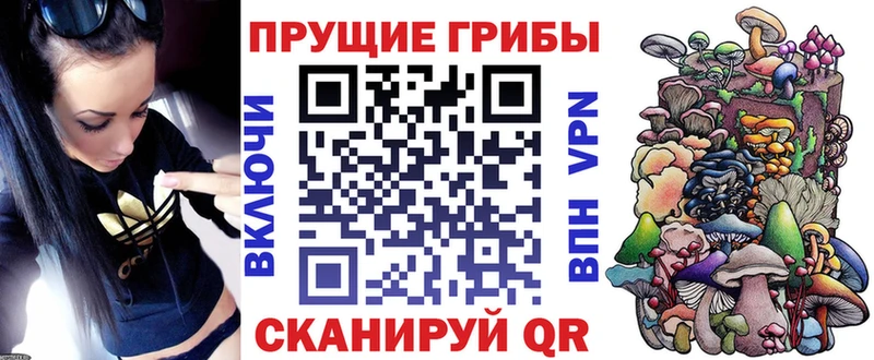 Галлюциногенные грибы Cubensis  купить наркотики цена  МЕГА ссылка  Ак-Довурак 